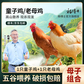 【母子组合】杨博士皖南散养土鸡+童子鸡套餐总净重3.1-4.0斤