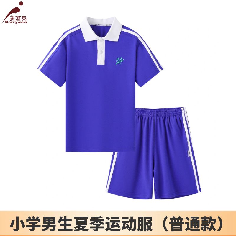 【美丽奥校服】小学男生夏装运动服 普通款