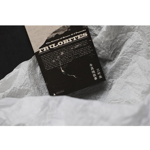 三叶虫与其他故事 （你从未听说过的伟大作家！早逝天才唯一遗作，“美国版《都柏林人》”） 商品图4