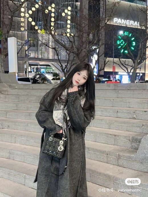 戴妃水钻包 17cm 商品图3