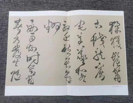 王铎超美行草书八本合集，全部为8开大本 商品图4