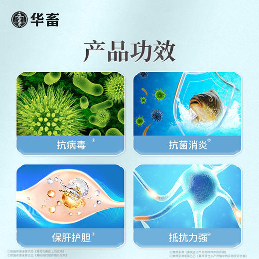 【社群专享】华畜草本五黄精华液500ml 纯中药浓缩液抗菌消炎 保肝利胆提高抵抗力 商品图3