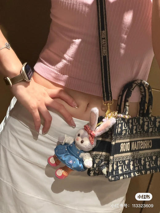 Dior托特mini 老花 商品图3