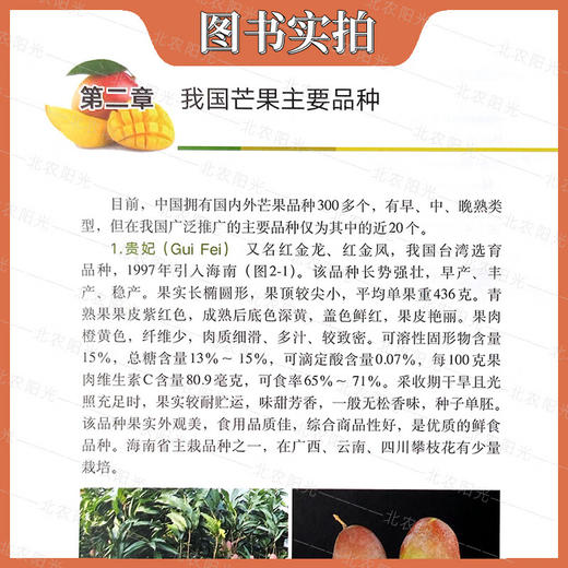 芒果栽培与病虫害防治彩色图说 詹儒林 编 芒果种植业 水果栽培专业科技 中国农业出版社 9787109309531【官方正版，可开发票，下单时留开票信息和电子邮箱】 商品图4