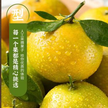 德庆贡柑9斤/箱 商品图5