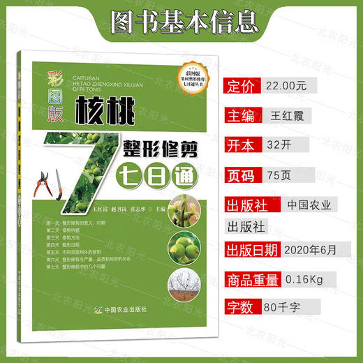 核桃整形修剪7日通 彩图版果树整形修剪七日通丛书 核桃 整形修剪 剪枝 纸皮核桃 中国农业出版社 9787109266674【官方正版，可开发票，下单时留开票信息和电子邮箱】 商品图1