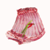 菁茂羊排（真空塑封）10kg 商品缩略图0