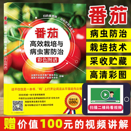 番茄高效栽培与病虫害防治彩色图谱【官方正版，可开发票，下单时留开票信息和电子邮箱】 商品图0