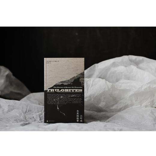 三叶虫与其他故事 （你从未听说过的伟大作家！早逝天才唯一遗作，“美国版《都柏林人》”） 商品图2