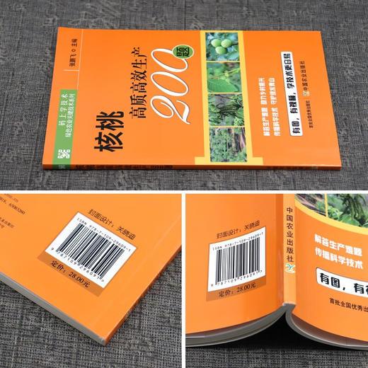 核桃高质高效生产200题 【中国农业出版社官方正版，可开发票，下单时留开票信息和电子邮箱】 商品图2