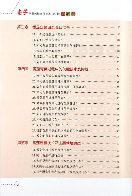 番茄产业关键实用技术100问【官方正版，可开发票，下单时留开票信息和电子邮箱】 商品图2