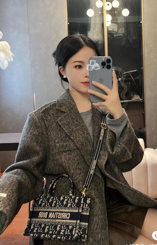 Dior托特mini 老花 商品图1