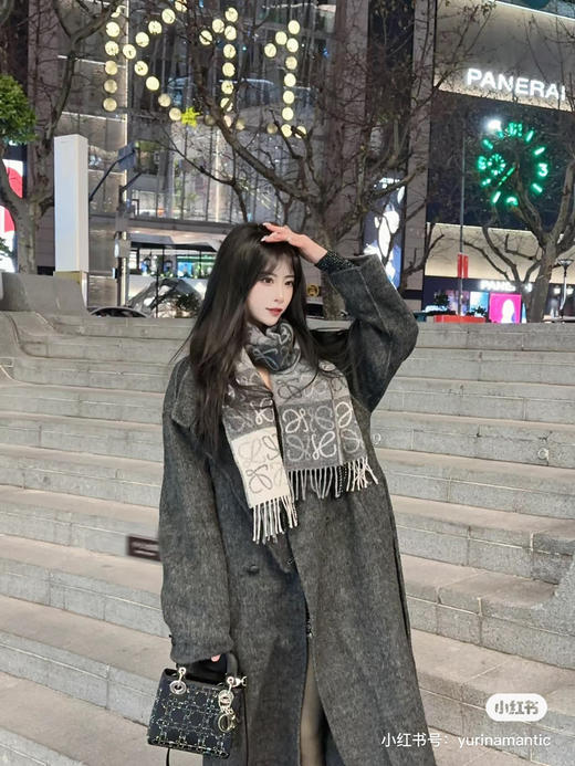 戴妃水钻包 17cm 商品图4