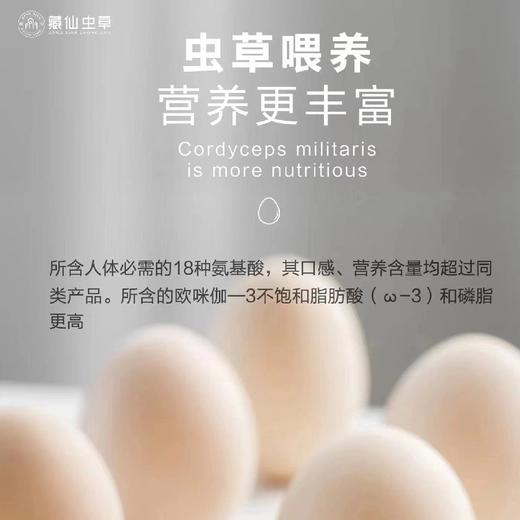 藏仙虫草鸡 虫草面 藏仙虫草蛋30枚 商品图3