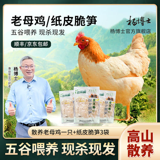 【杨博士 老母鸡+3包笋】杨博士散养土鸡（单只净重1.8-2.5斤） 商品图0