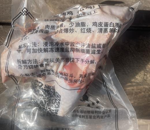 【产地直发包邮】北京油鸡 公鸡 绿嘟嘟农场 商品图4