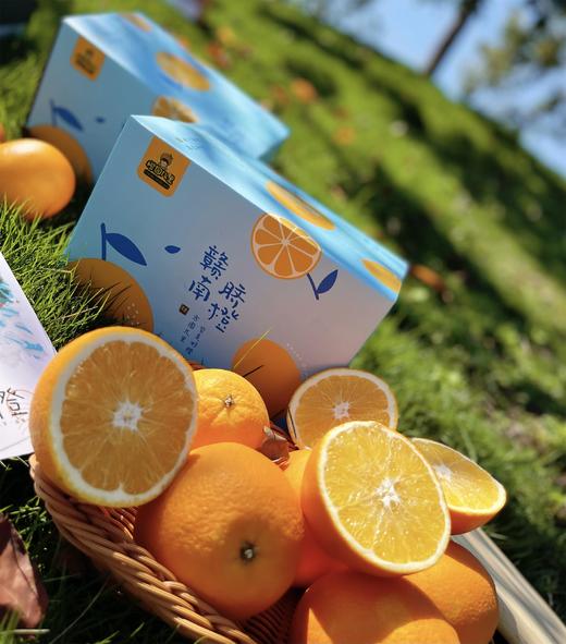 橙园几里-赣南脐橙礼盒装 8.5斤左右 商品图3
