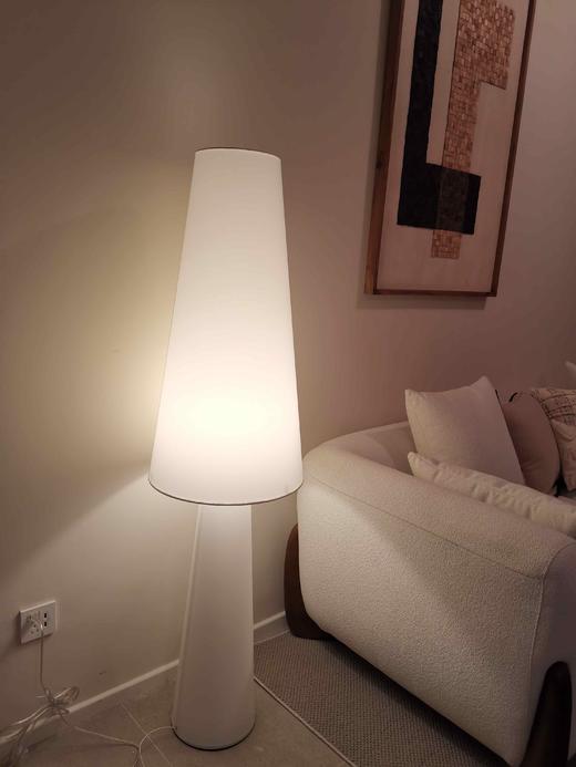 城喧客厅落地灯 商品图0