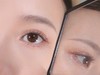 中华田园 挪威森林 喜马拉雅 半年抛 COLORWINK 商品缩略图3