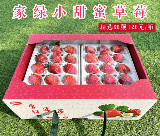 现采草莓 精选60颗 2.5斤左右  新鲜采摘 口感香甜 安全包装 提前一天预定 商品图0