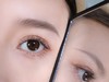 中华田园 挪威森林 喜马拉雅 半年抛 COLORWINK 商品缩略图5