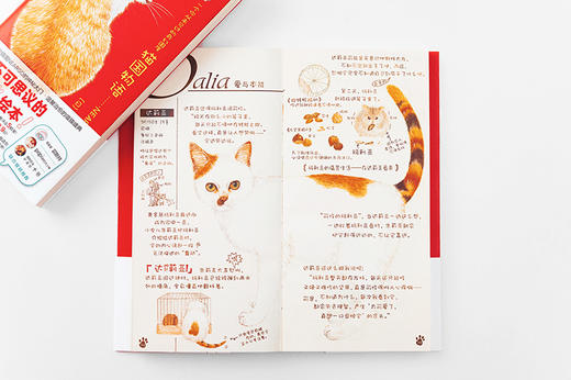 猫国物语 商品图2