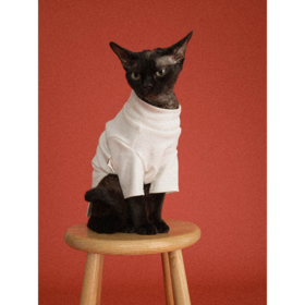 GOODBAI x Lazyeazy宠物系列Goodees苹果图案针织打底衫