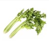 芹菜500g-600g/份 商品缩略图0