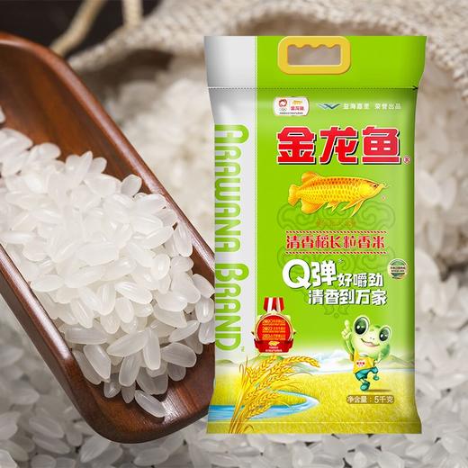 金龙鱼清香稻大米5kg/袋 商品图3