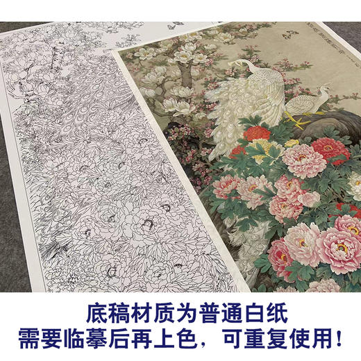 【大彩图】刘菊清工笔画白描底稿《牡丹》临摹勾线花鸟线稿HN20 商品图3