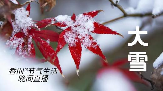 节气生活 大雪晚直播 商品图0