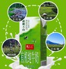 马三三有机纯牛奶200ml*12盒  有机牧草 0污染0农残 商品缩略图4