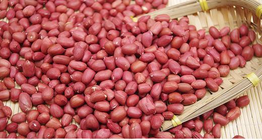 睿立散装四粒红花生米1000g/袋 商品图0