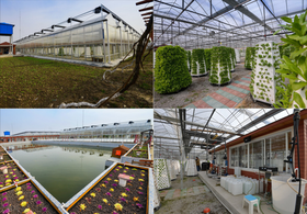 8.鱼菜共生农场需要排污吗？