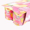伊利黄桃果粒发酵乳八连杯 商品缩略图0