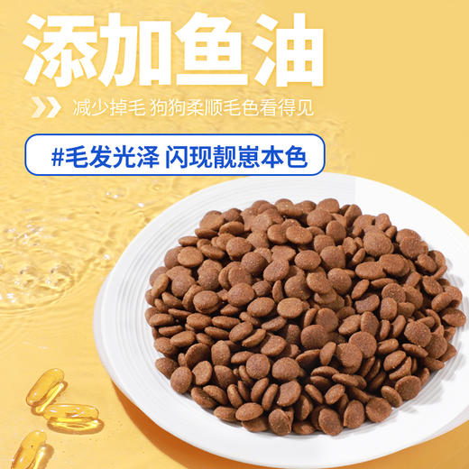 原始兽繁育系列犬粮主粮10kg中大型犬适用 低敏护肠胃 线下款 不吃包退 商品图4