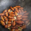 鲜活蚕蛹！❤️蛋白质最高的食物，蛋白质含量远远高于肉、蛋、鱼！❤️能增强人体免疫力！❤️补钙！❤️富含多种微量元素！炒、炸、煎，特别香！ 商品缩略图1