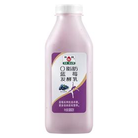 和润0脂蓝莓发酵乳880g/瓶