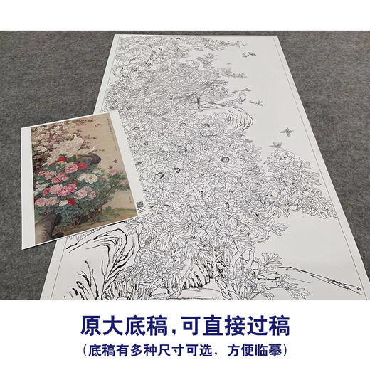 【大彩图】刘菊清工笔画白描底稿《牡丹》临摹勾线花鸟线稿HN20 商品图1