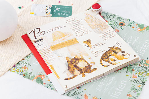 猫国物语 商品图6