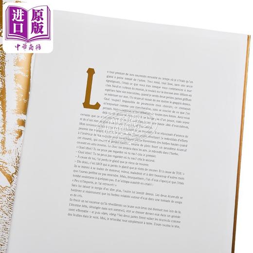 【中商原版】Frederic Pillot 古老橡树的记忆 绘本插画小说 法文原版 Les souvenirs du vieux chene 法国知名插画家 商品图11