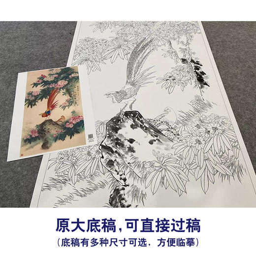 【大彩图】王庆升工笔画白描底稿《鸣春图》锦鸡临摹勾线花鸟线稿HN01 商品图1