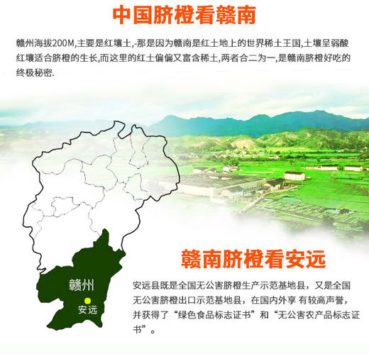 2025赣南脐橙10斤装  送礼自用都适合 新鲜橙子 来自江西赣州安远县 获得绿色食品认证的好橙 4.5kg/箱 商品图5