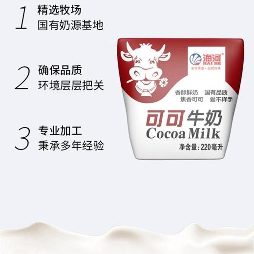 海河可可味牛奶220ml/袋 商品图2