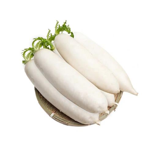白萝卜700g-800g/个 商品图0