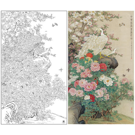 【大彩图】刘菊清工笔画白描底稿《牡丹》临摹勾线花鸟线稿HN20 商品图0