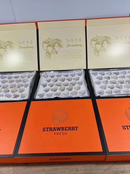 【降价啦！规格又升级，现摘现发】🍓正宗丹东东港九九草莓，草莓界的爱马仕，合隆镇城山子村九九草莓核心产区，原生态种植，每一颗都饱满多汁，味道纯正。果园现摘现发，顺丰全国包邮 商品图8