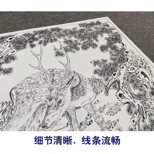 【大彩图】高文刚工笔画白描底稿小品《双鹿》临摹勾线高清打印稿A643 商品图4