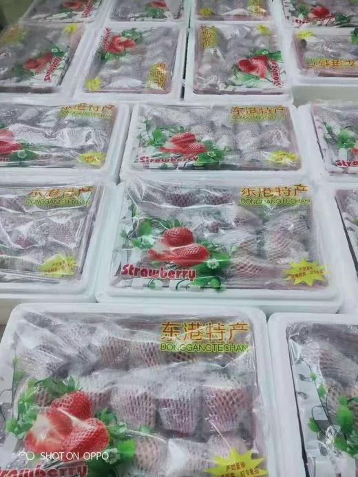 【降价啦！规格又升级，现摘现发】🍓正宗丹东东港九九草莓，草莓界的爱马仕，合隆镇城山子村九九草莓核心产区，原生态种植，每一颗都饱满多汁，味道纯正。果园现摘现发，顺丰全国包邮 商品图6