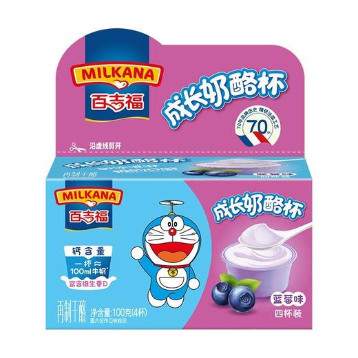 百吉福成长奶酪（蓝莓） 商品图0